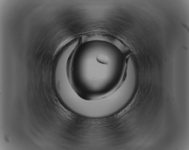 X0000092231402200710121208