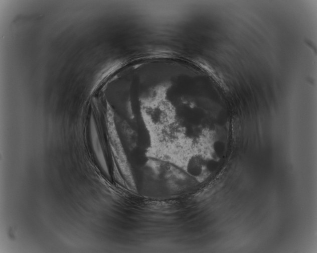 X0000092231405200710121208