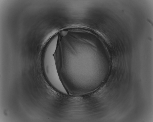 X0000092231406200710121208