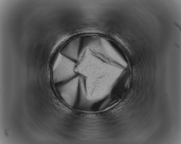 X0000092231408200710121208