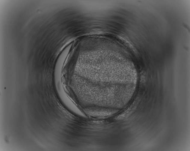 X0000092231409200710121208