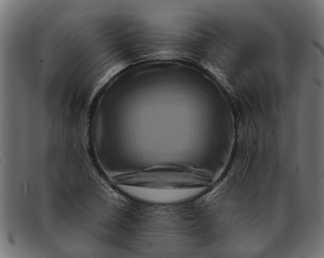 X0000092231410200710121208