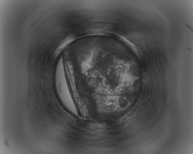 X0000092231411200710121208