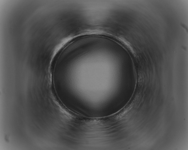 X0000092231414200710121208