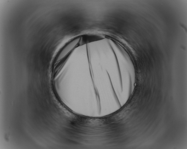 X0000092231416200710121208