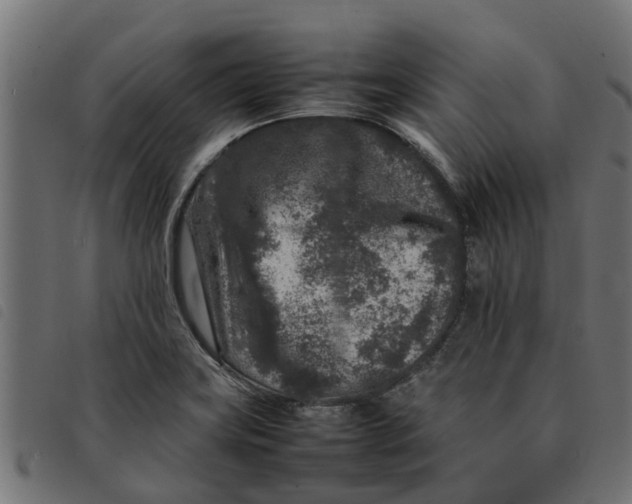 X0000092231419200710121208