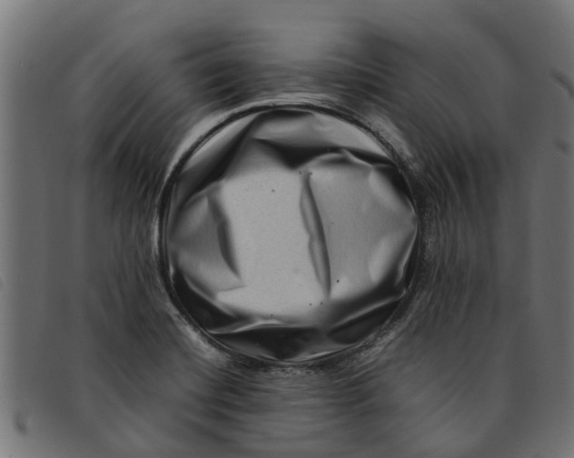 X0000092231420200710121208