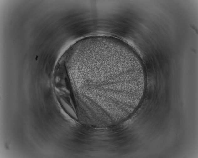 X0000092231421200710121208