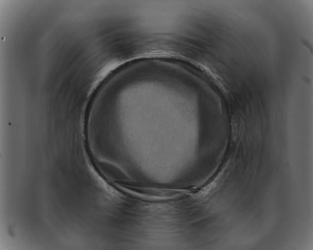 X0000092231422200710121208