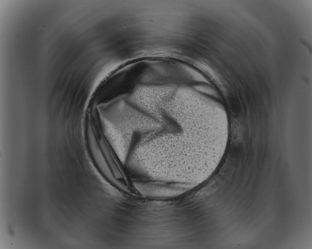 X0000092231424200710121208