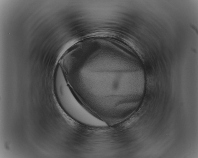 X0000092231426200710121208