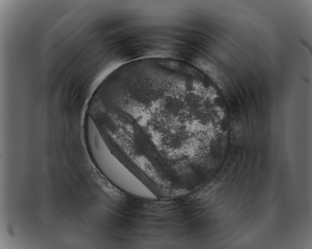 X0000092231427200710121208