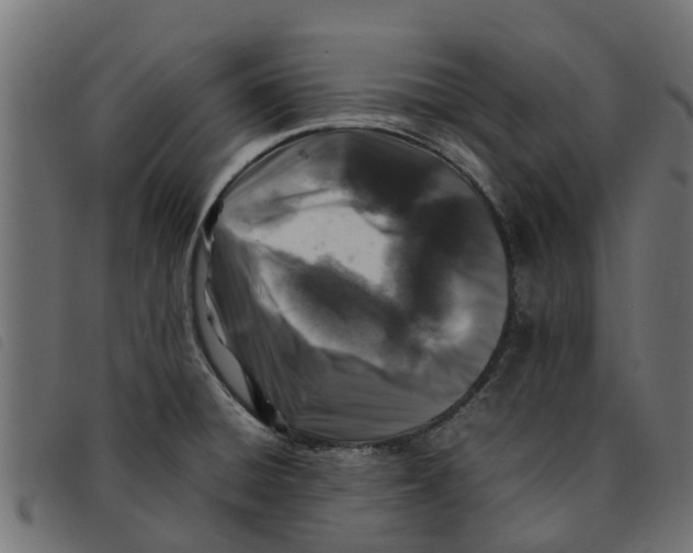 X0000092231428200710121208