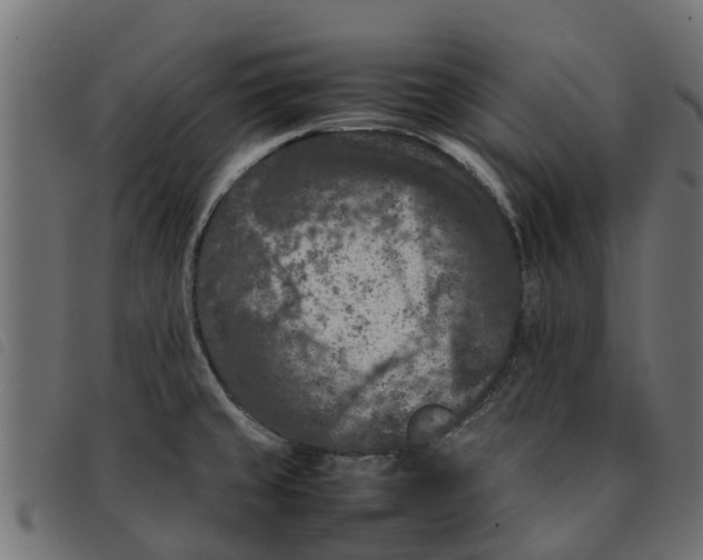 X0000092231429200710121208