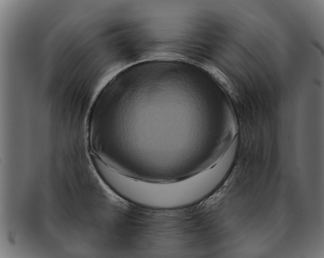 X0000092231430200710121208