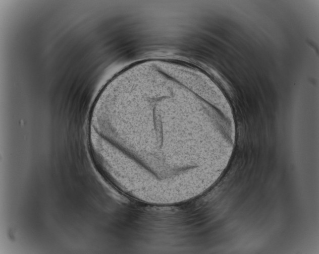 X0000092231432200710121208