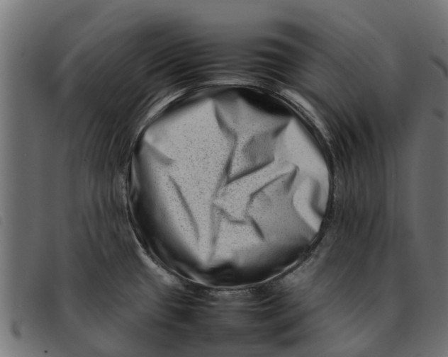 X0000092231433200710121208