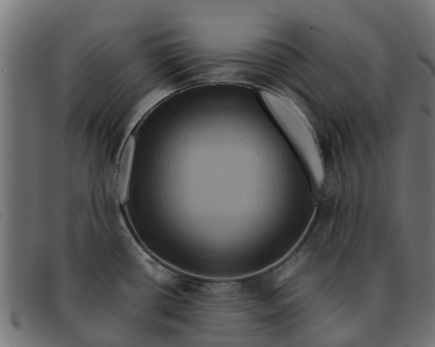 X0000092231434200710121208