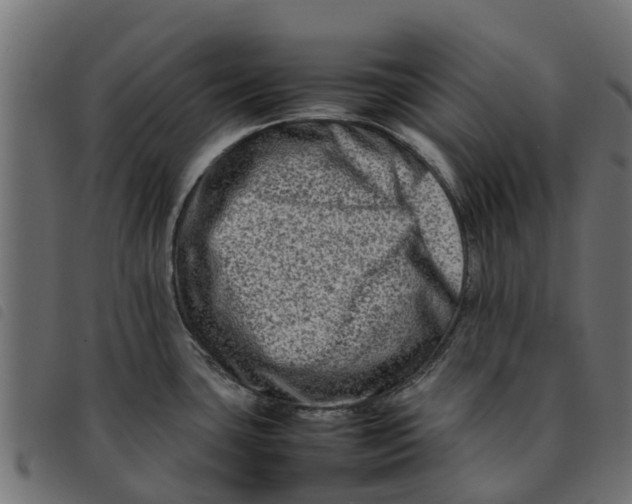 X0000092231435200710121208