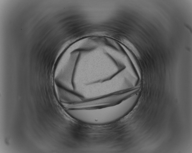 X0000092231436200710121208