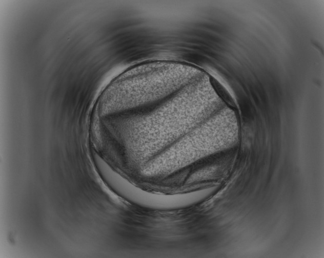 X0000092231437200710121208