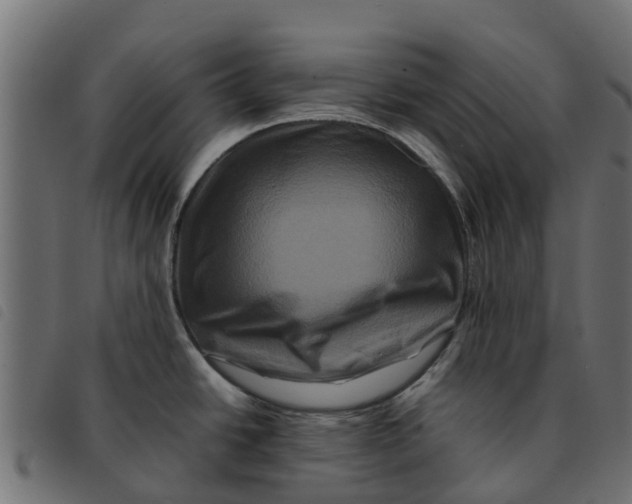 X0000092231438200710121208