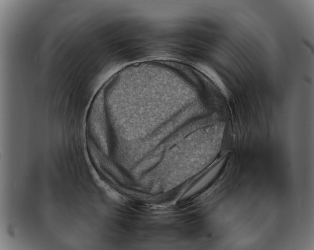 X0000092231439200710121208