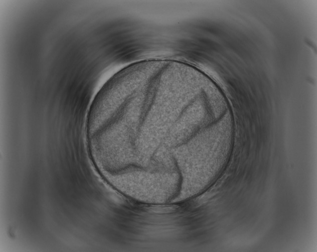 X0000092231440200710121208