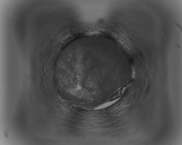 X0000092231441200710121208