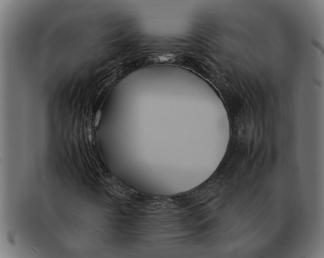 X0000092231442200710121208