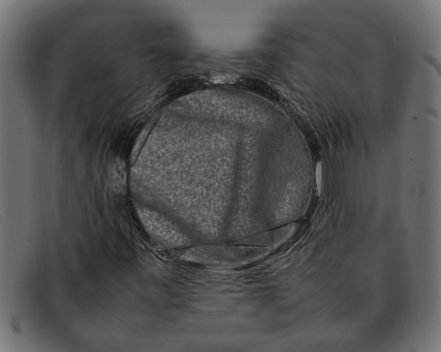 X0000092231443200710121208