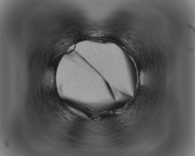 X0000092231444200710121208