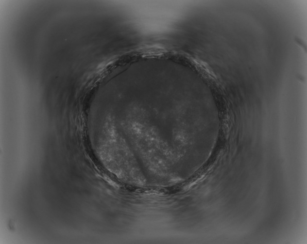 X0000092231445200710121208