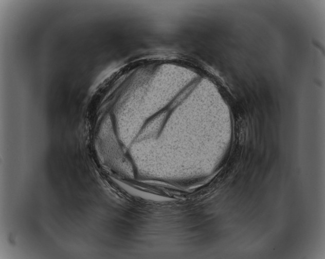 X0000092231448200710121208