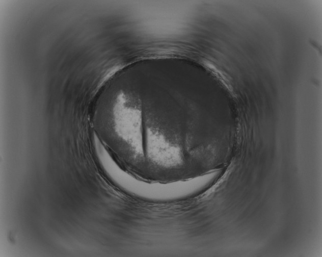 X0000092231449200710121208