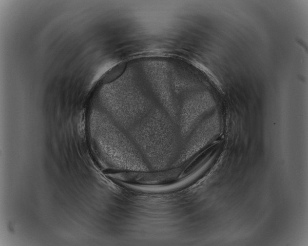 X0000092231450200710121208