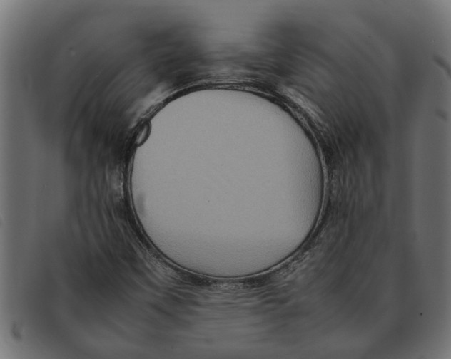 X0000092231451200710121208