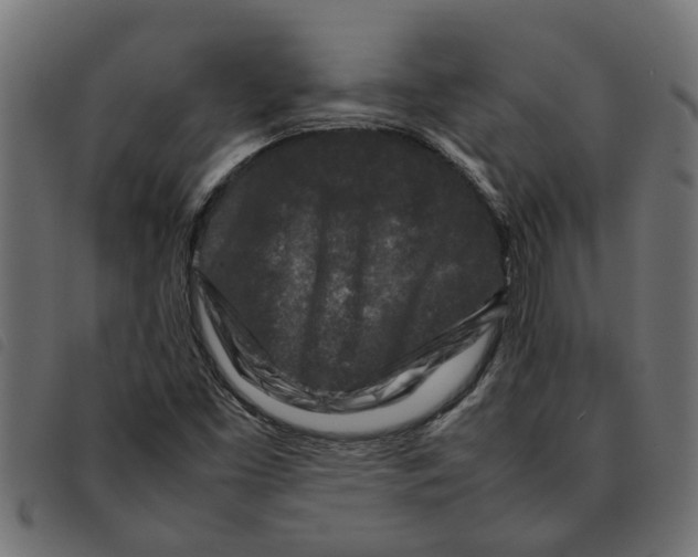 X0000092231453200710121208