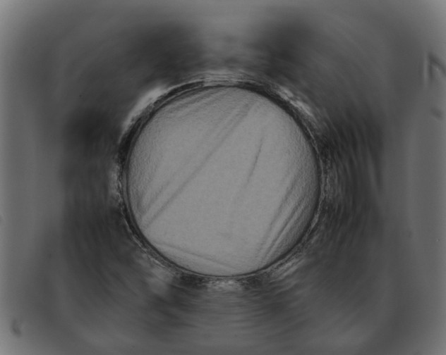 X0000092231454200710121208