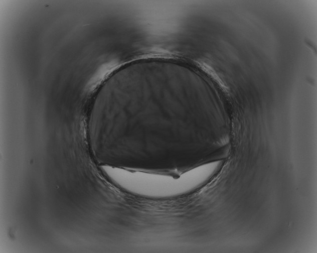 X0000092231455200710121208