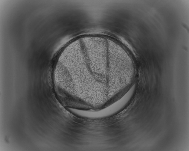 X0000092231456200710121208