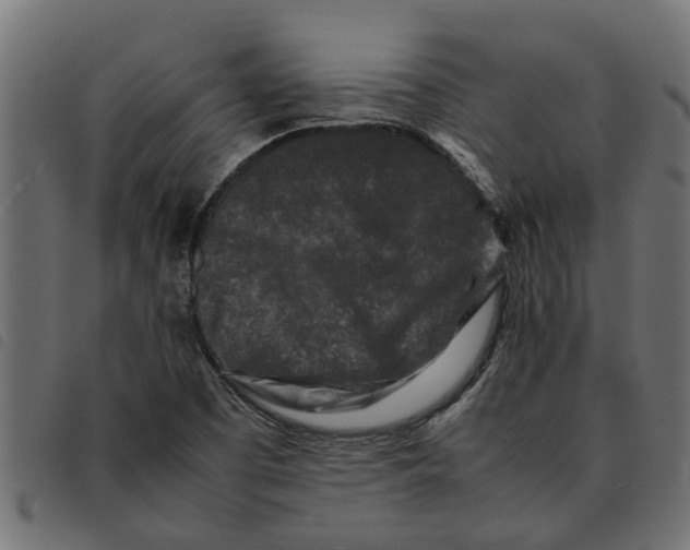 X0000092231457200710121208