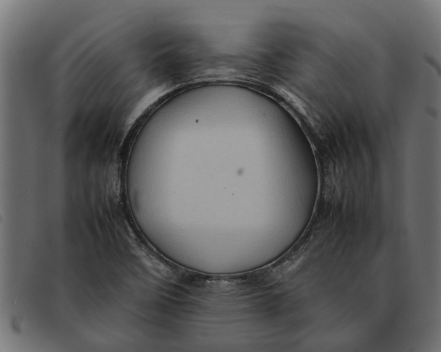 X0000092231458200710121208