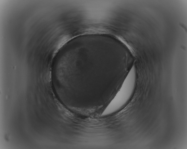 X0000092231459200710121208