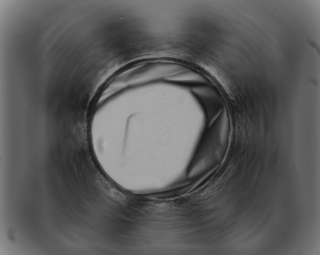 X0000092231460200710121208