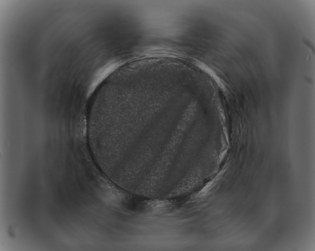 X0000092231461200710121208