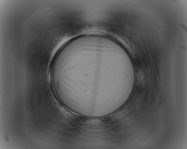 X0000092231462200710121208