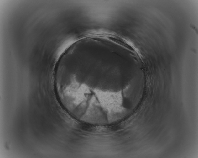 X0000092231463200710121207