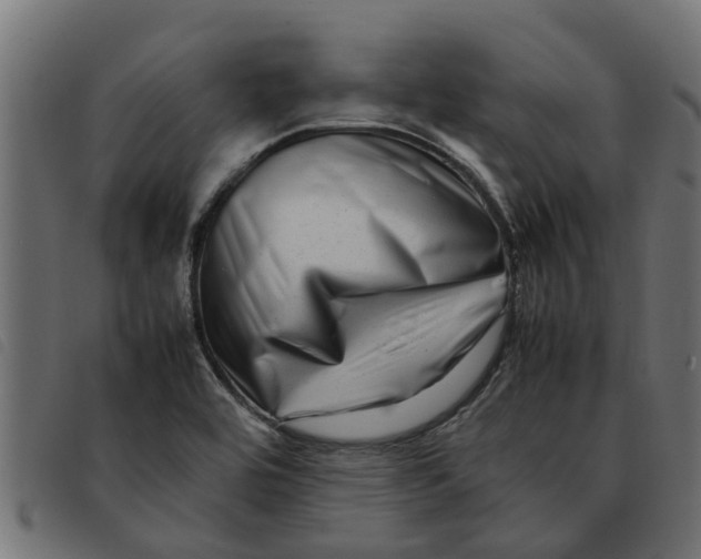 X0000092231464200710121207