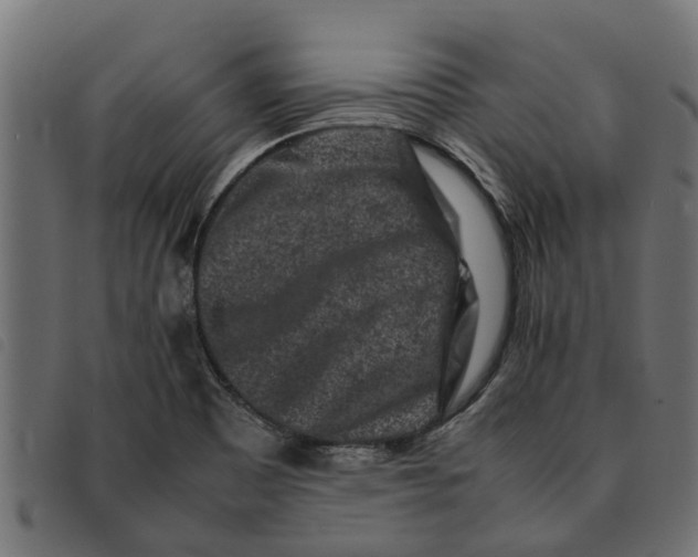 X0000092231465200710121207